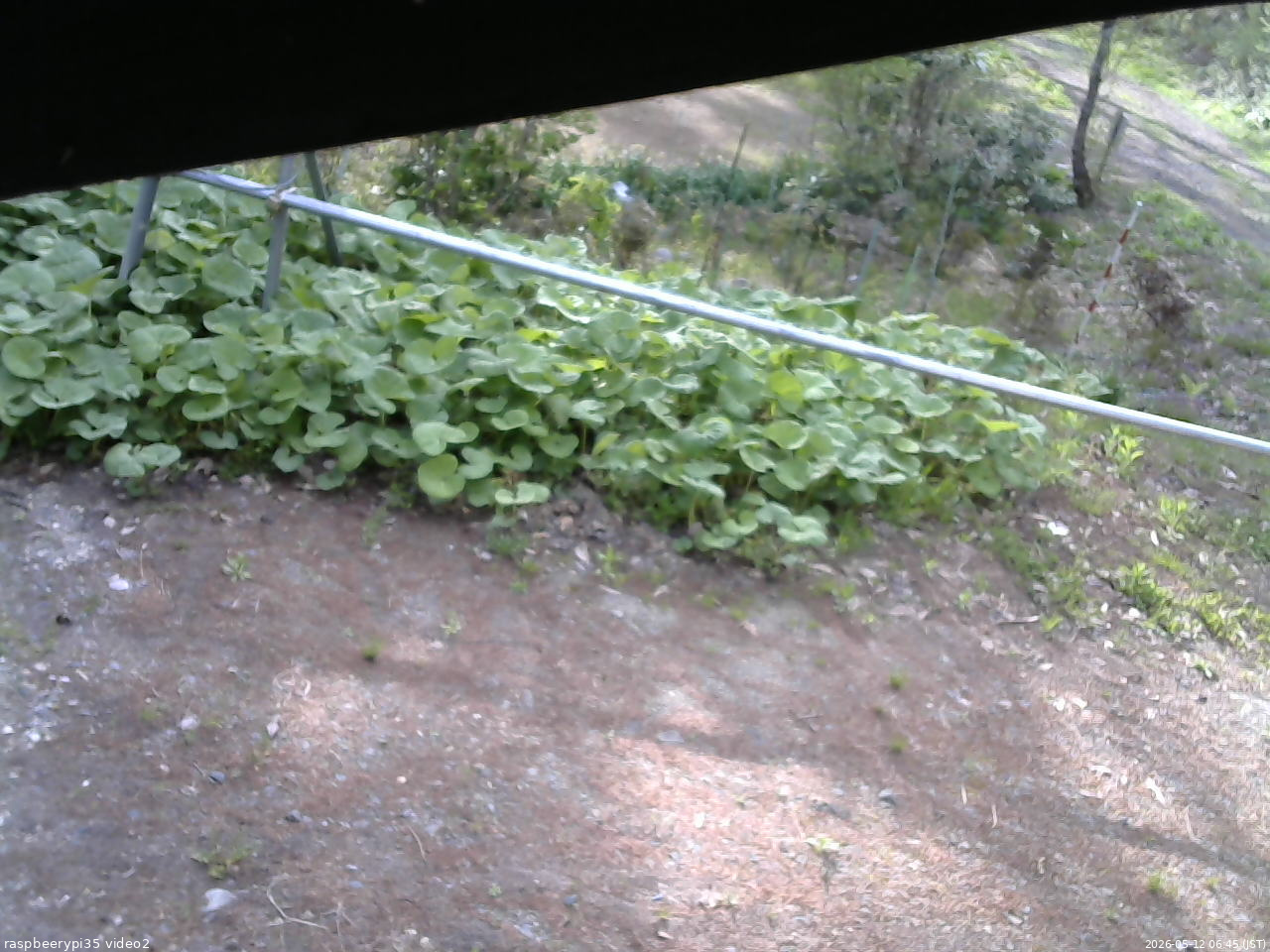 長野県菅平高原 ゆたか山荘 駐車場 2026/05/12 06:45