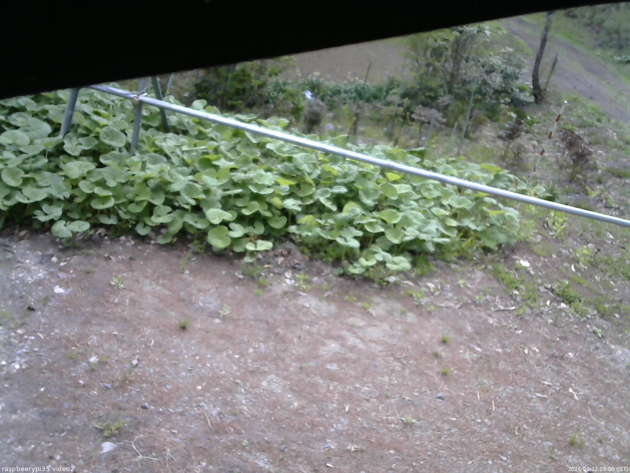 長野県菅平高原 ゆたか山荘 駐車場 2026/05/12 08:00