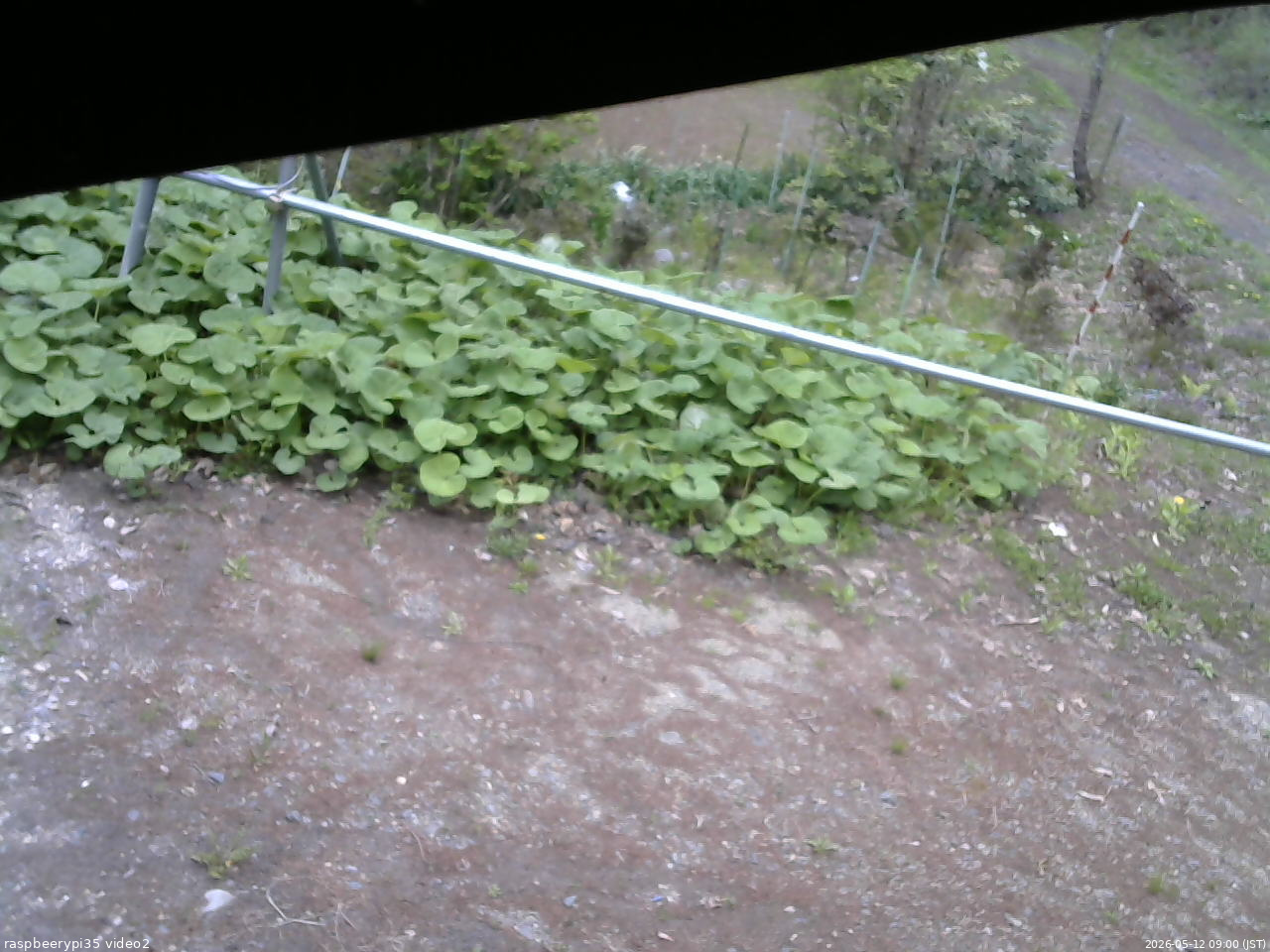長野県菅平高原 ゆたか山荘 駐車場 2026/05/12 09:00