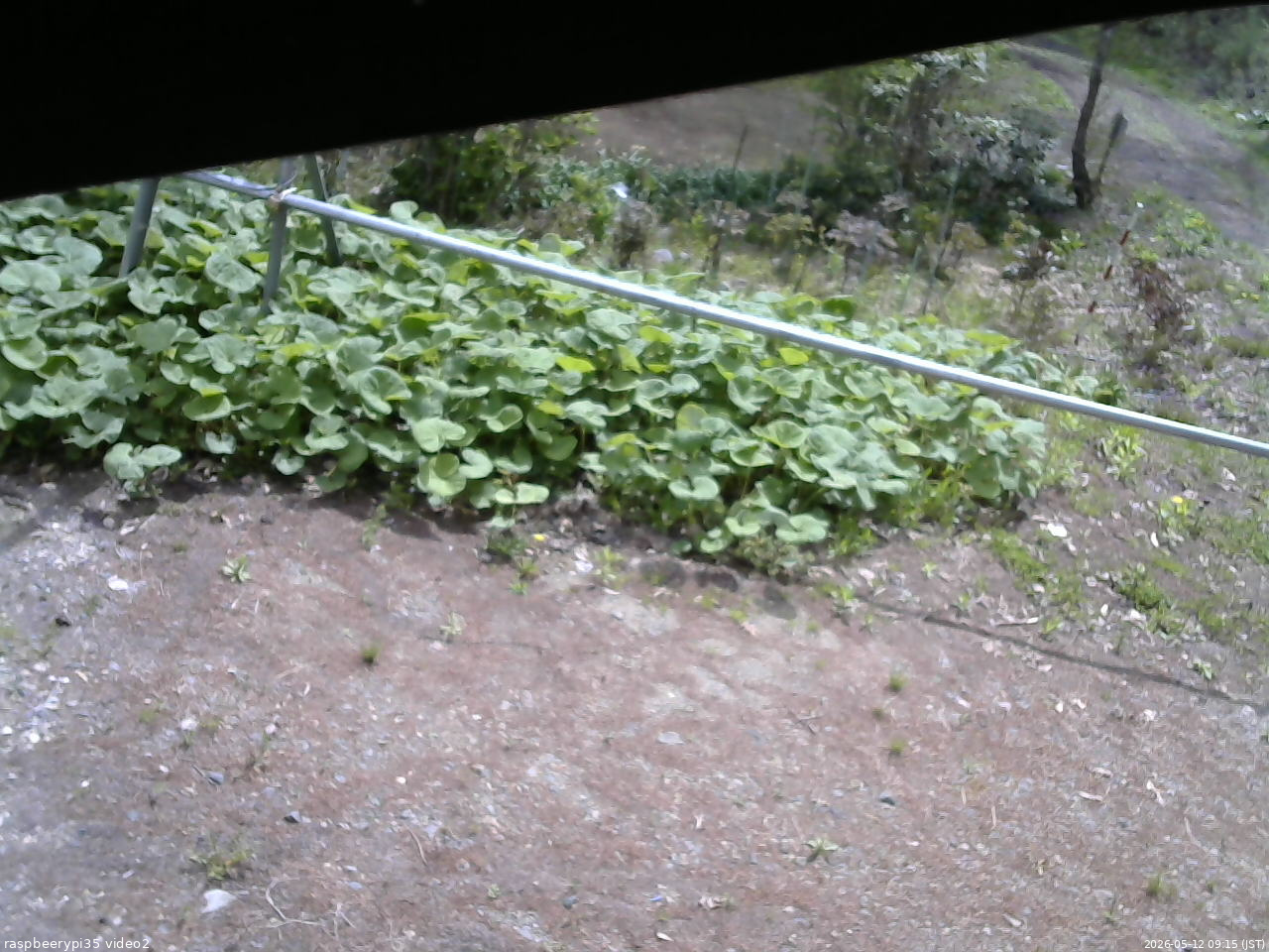 長野県菅平高原 ゆたか山荘 駐車場 2026/05/12 09:15