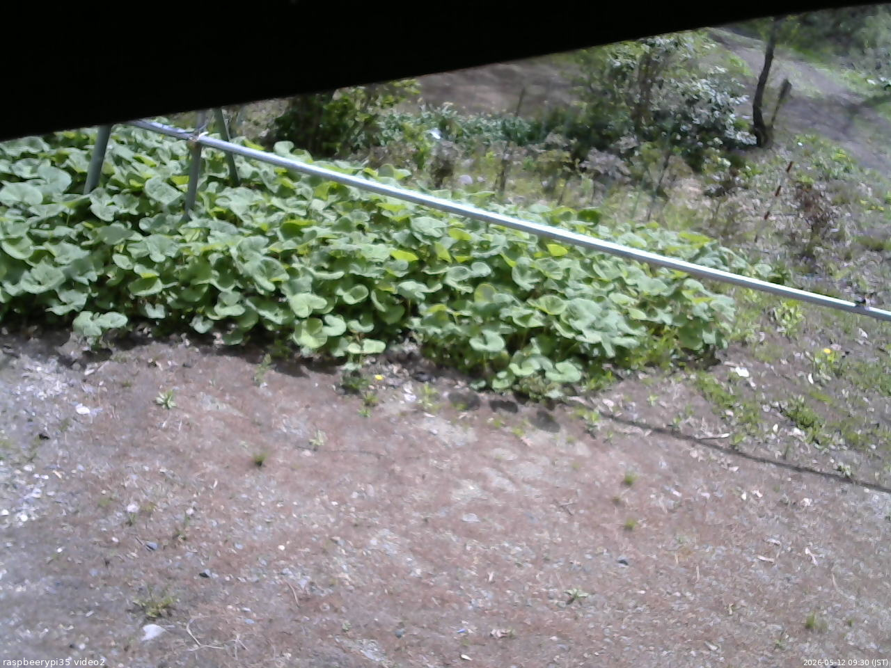 長野県菅平高原 ゆたか山荘 駐車場 2026/05/12 09:30