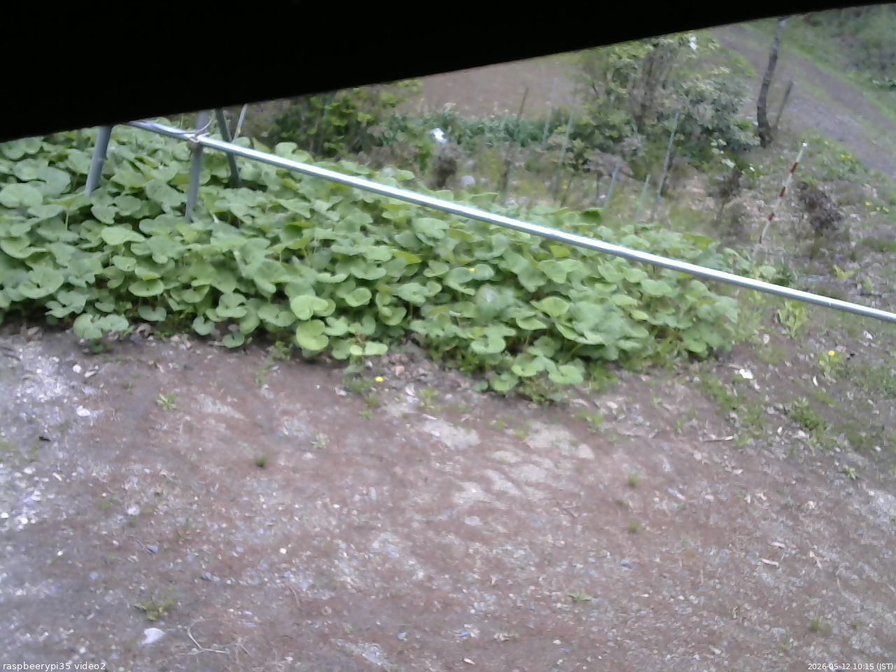 長野県菅平高原 ゆたか山荘 駐車場 2026/05/12 10:15