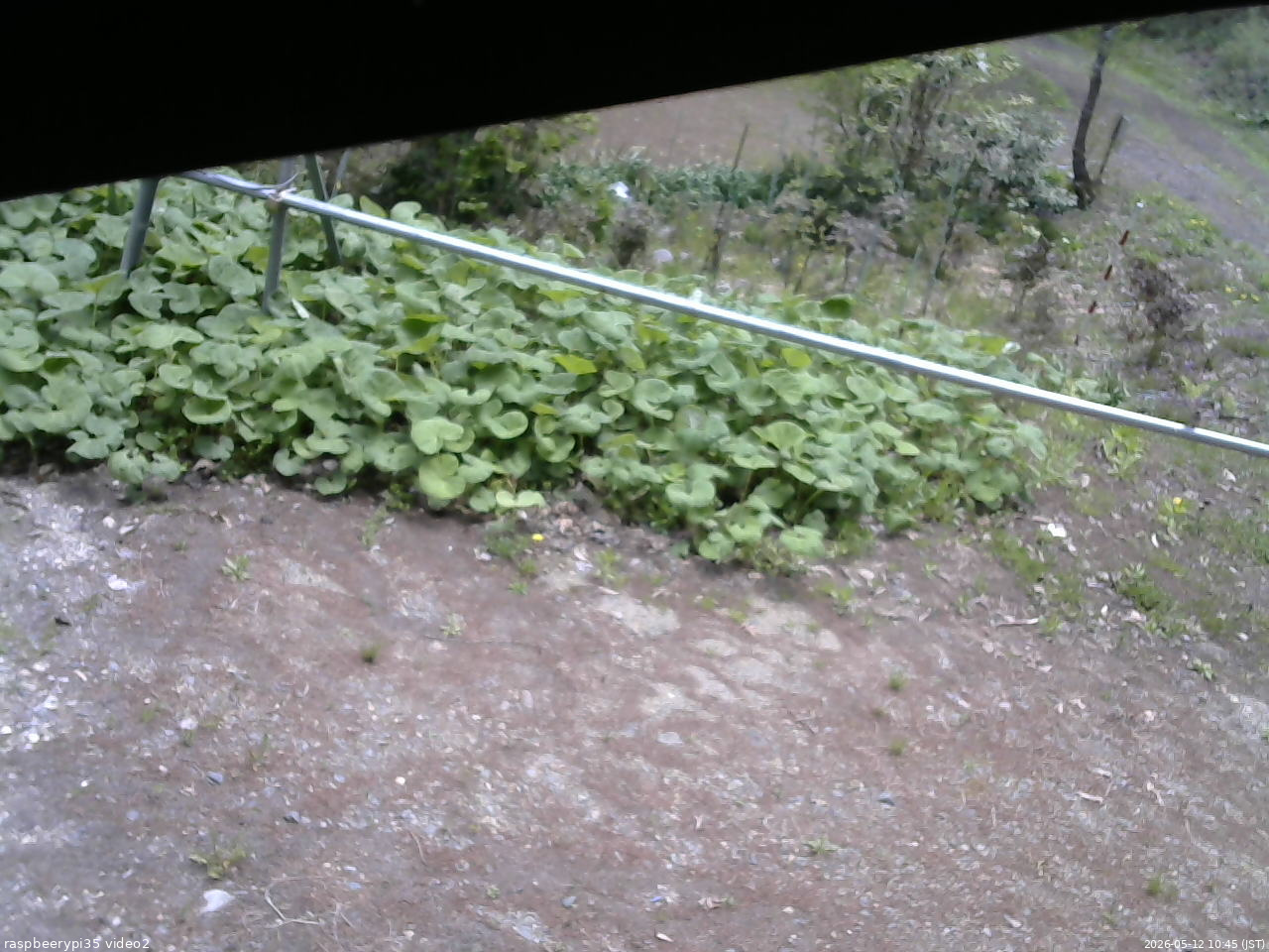 長野県菅平高原 ゆたか山荘 駐車場 2026/05/12 10:45