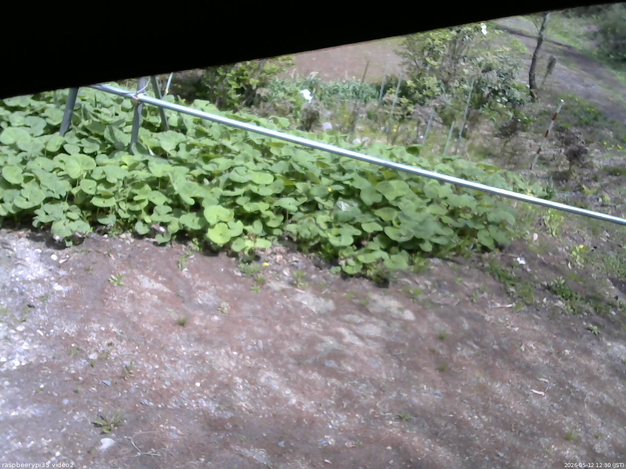 長野県菅平高原 ゆたか山荘 駐車場 2026/05/12 12:30