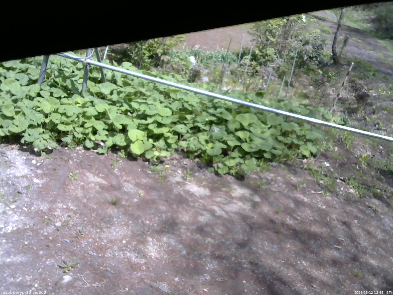 長野県菅平高原 ゆたか山荘 駐車場 2026/05/12 12:45