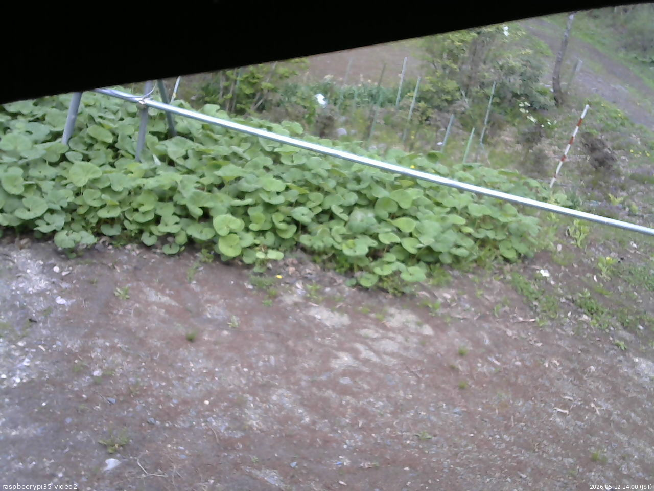 長野県菅平高原 ゆたか山荘 駐車場 2026/05/12 14:00