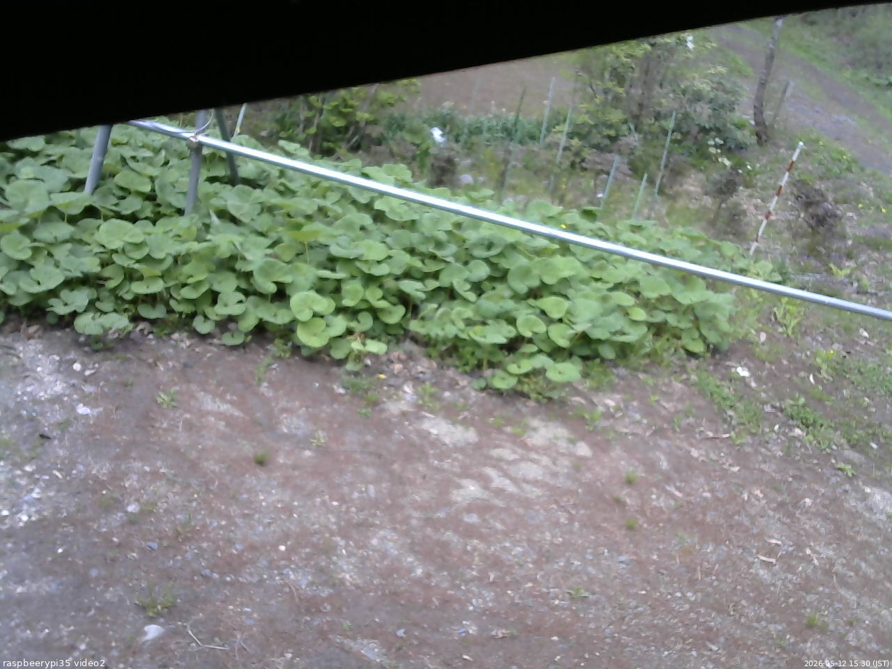 長野県菅平高原 ゆたか山荘 駐車場 2026/05/12 15:30