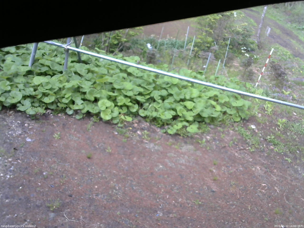 長野県菅平高原 ゆたか山荘 駐車場 2026/05/12 16:00