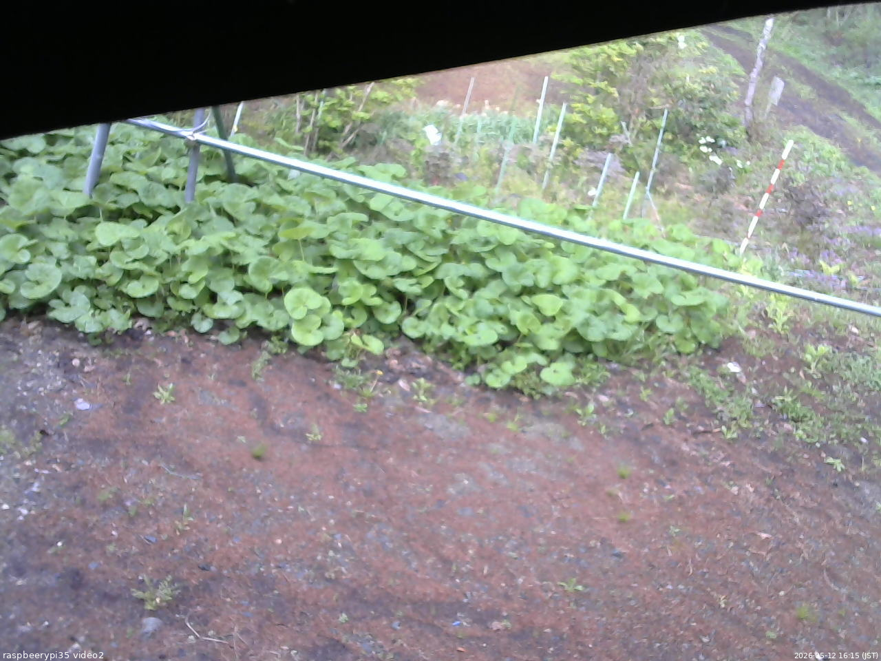 長野県菅平高原 ゆたか山荘 駐車場 2026/05/12 16:15