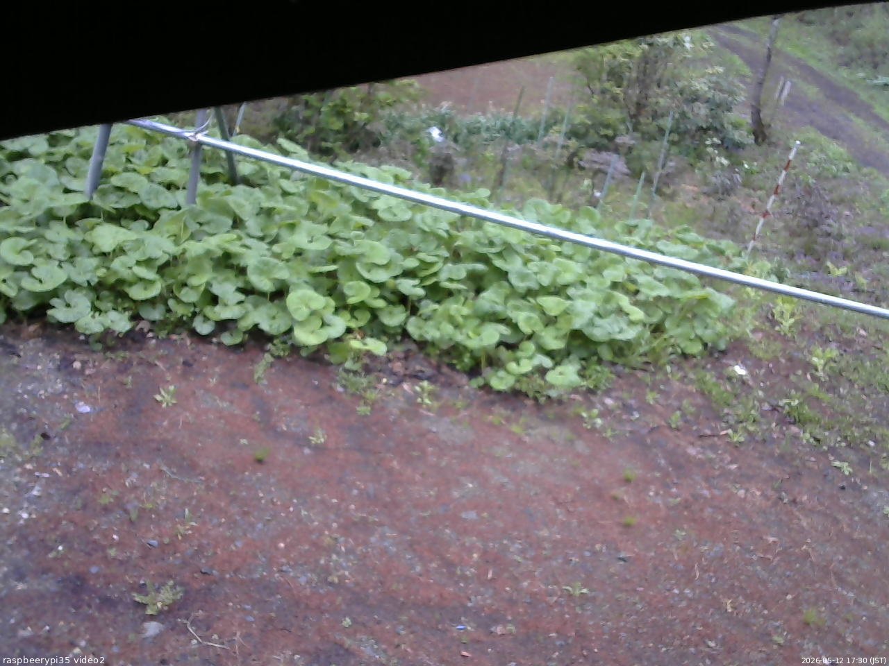 長野県菅平高原 ゆたか山荘 駐車場 2026/05/12 17:30