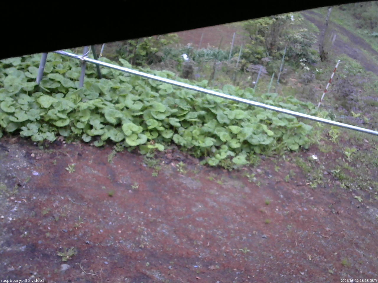 長野県菅平高原 ゆたか山荘 駐車場 2026/05/12 18:15