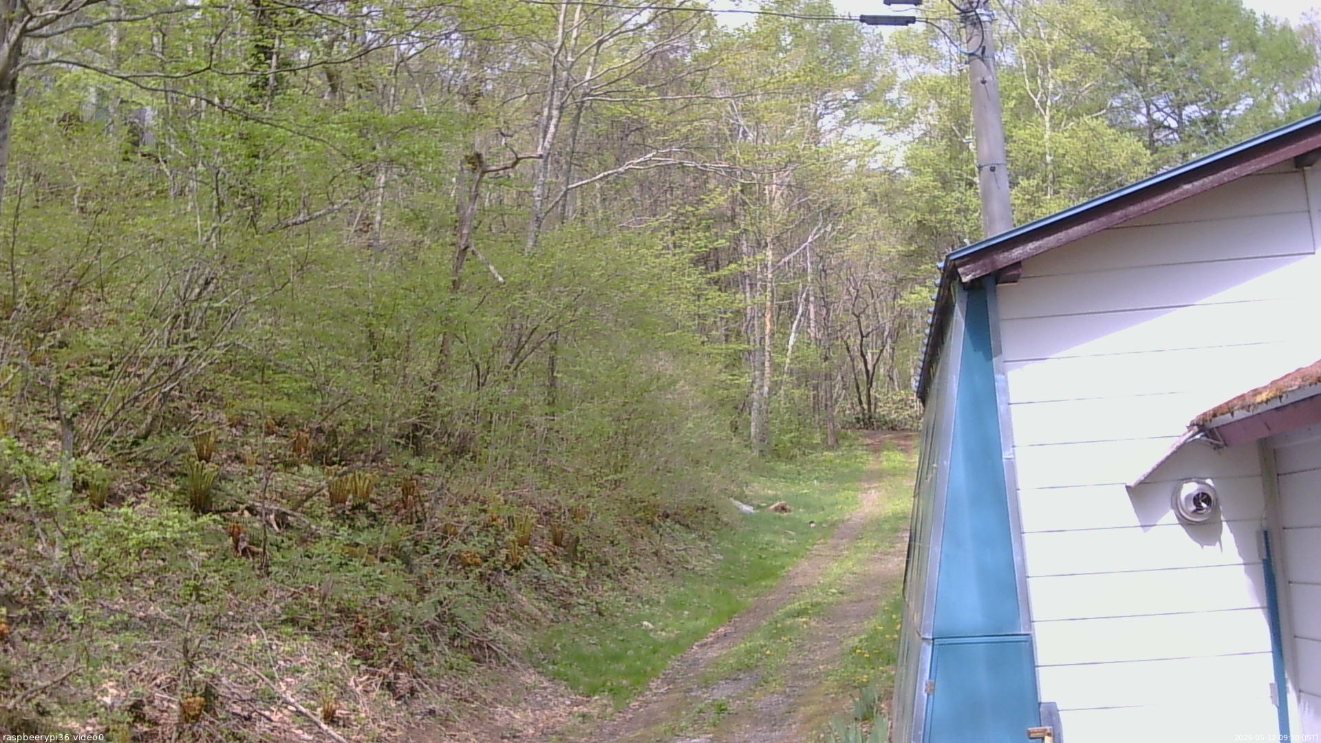 長野県菅平高原 ゆたか山荘 ゆたか山荘 2026/05/12 09:30