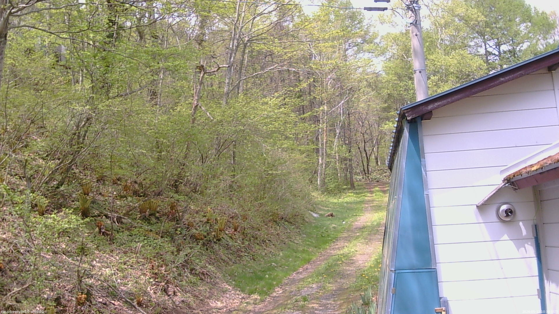 長野県菅平高原 ゆたか山荘 ゆたか山荘 2026/05/12 10:30