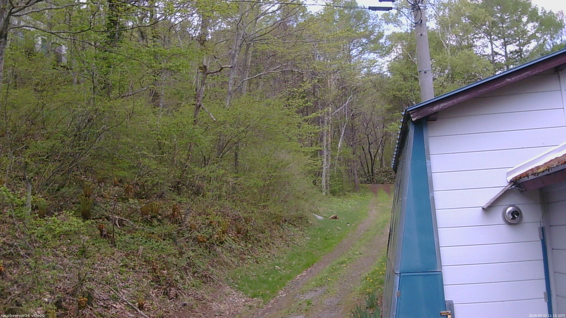 長野県菅平高原 ゆたか山荘 ゆたか山荘 2026/05/12 11:15