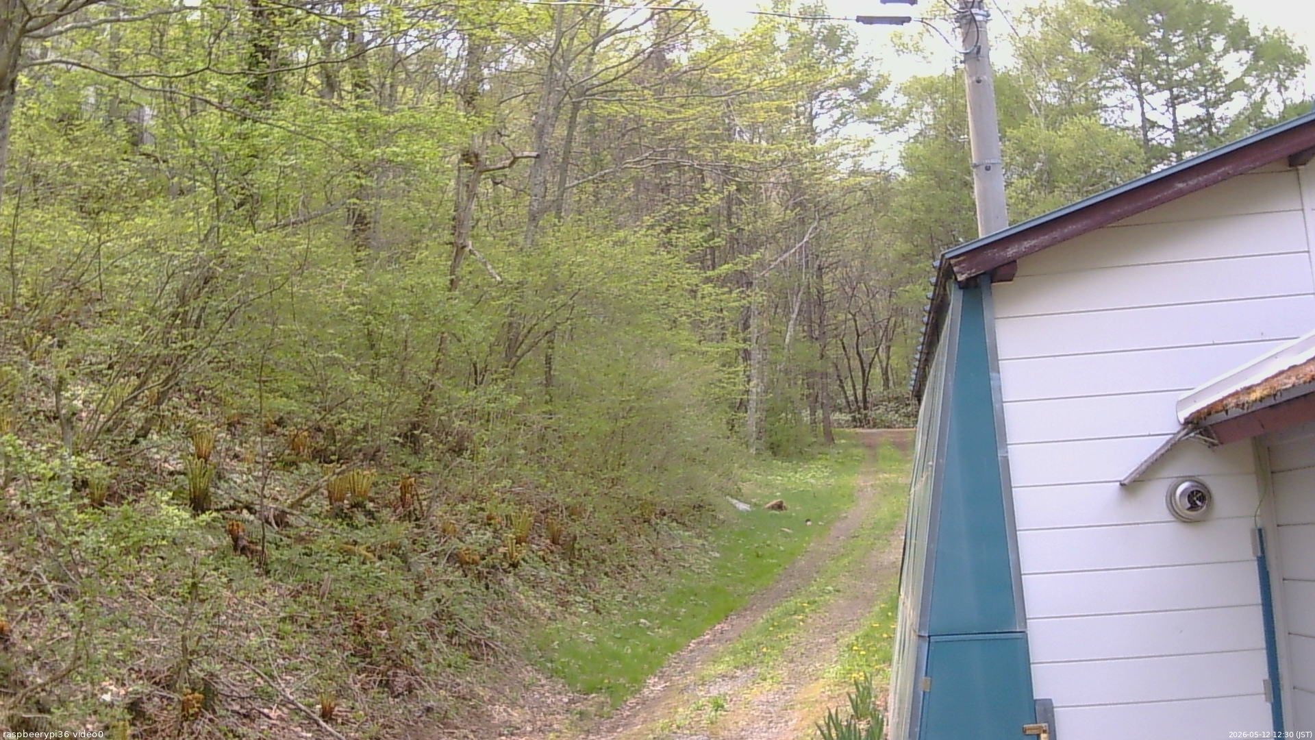 長野県菅平高原 ゆたか山荘 ゆたか山荘 2026/05/12 12:30