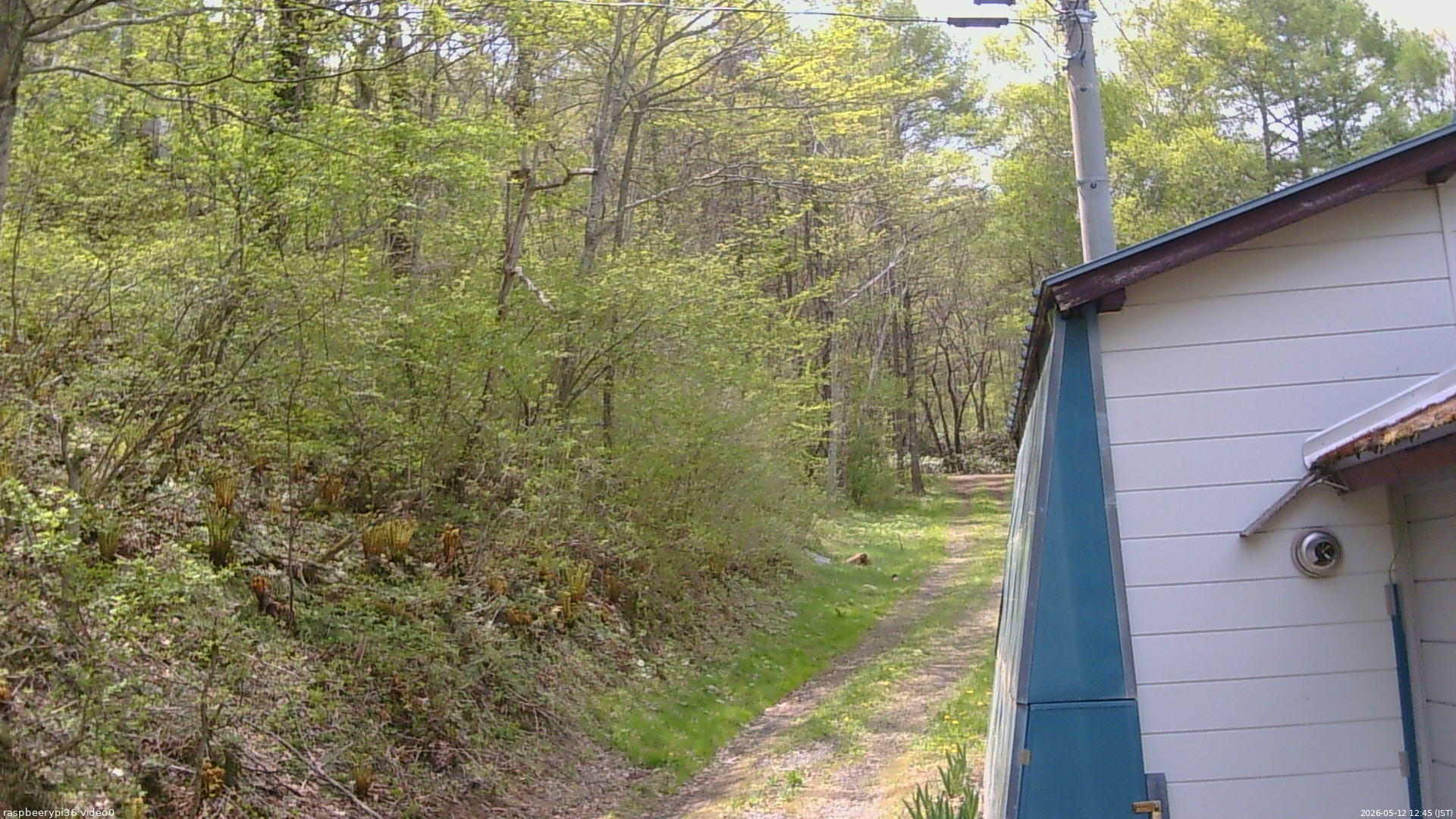 長野県菅平高原 ゆたか山荘 ゆたか山荘 2026/05/12 12:45