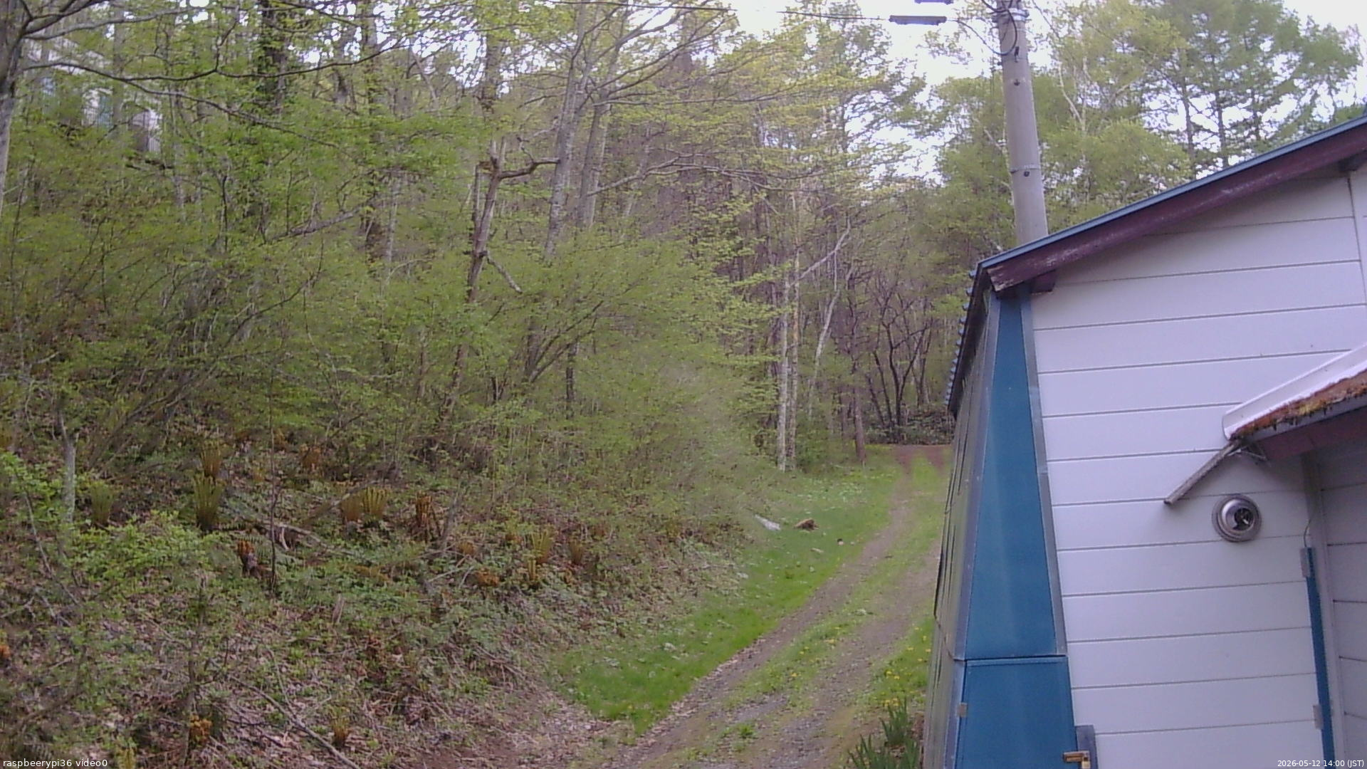 長野県菅平高原 ゆたか山荘 ゆたか山荘 2026/05/12 14:00