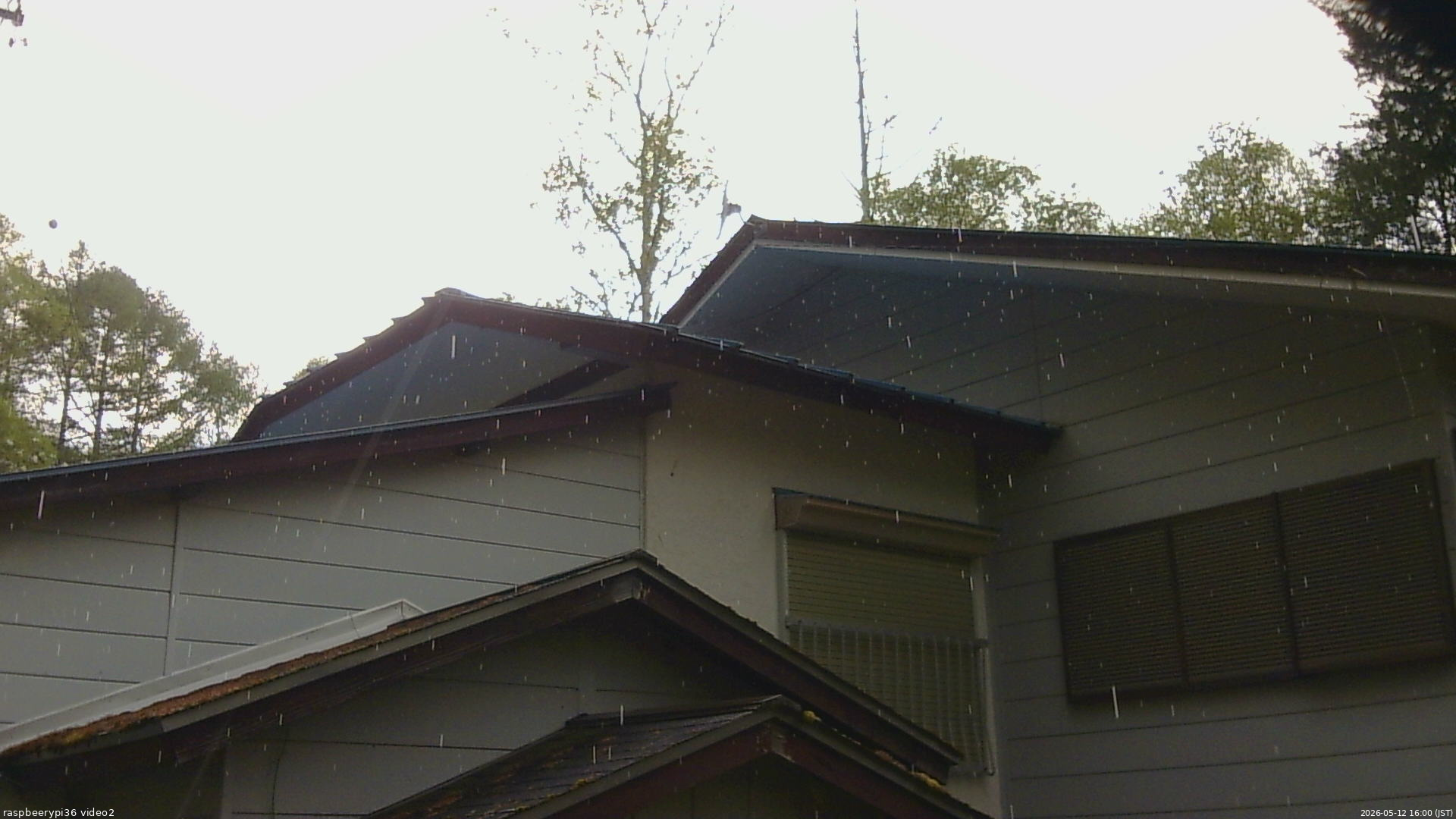 長野県菅平高原 ゆたか山荘 駐車場奥 2026/05/12 16:00