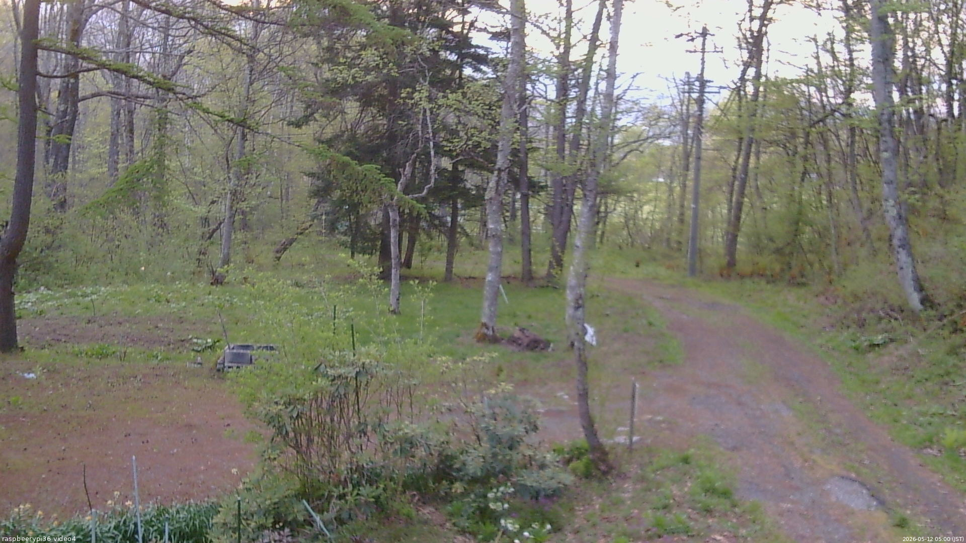 長野県菅平高原 ゆたか山荘 坂上 2026/05/12 05:00