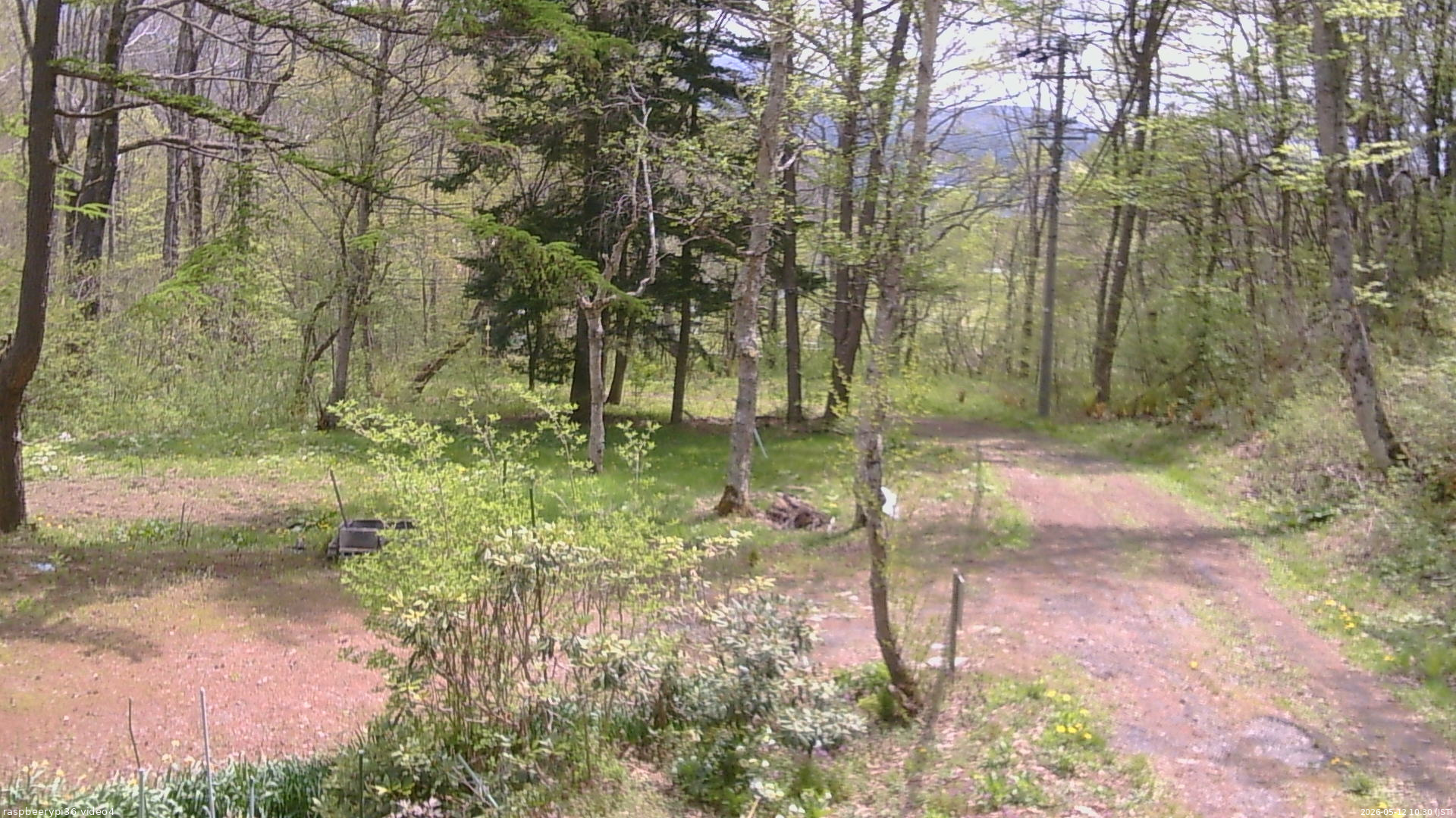 長野県菅平高原 ゆたか山荘 坂上 2026/05/12 10:30