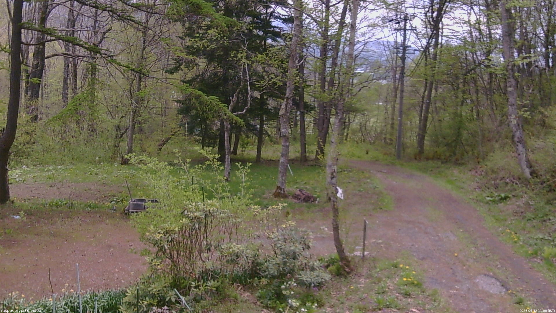 長野県菅平高原 ゆたか山荘 坂上 2026/05/12 11:00