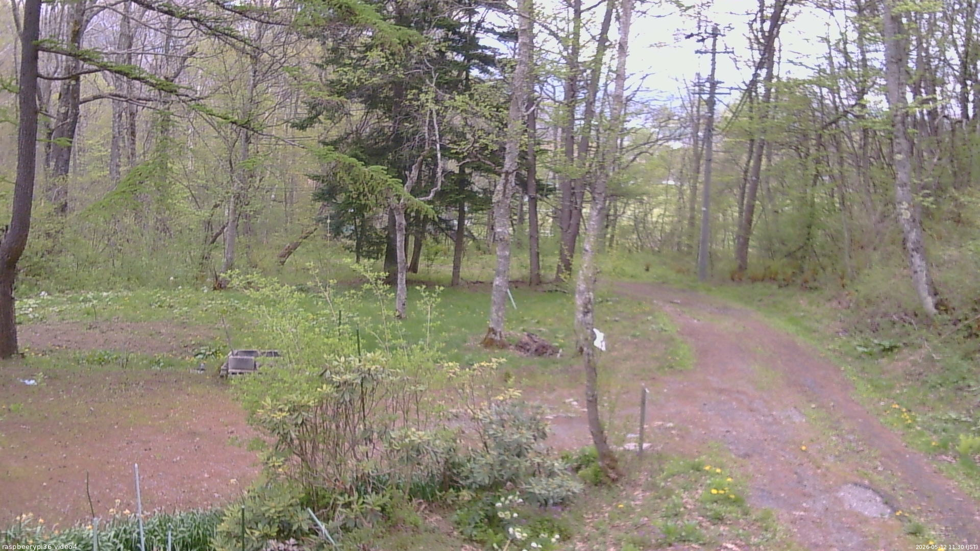 長野県菅平高原 ゆたか山荘 坂上 2026/05/12 11:30