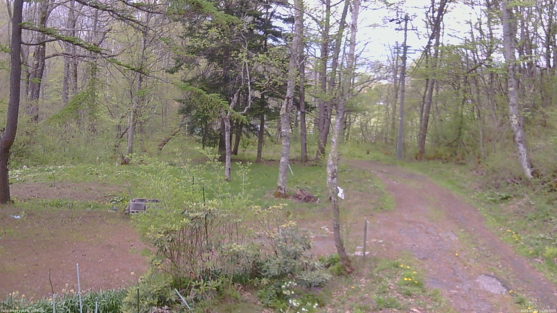 長野県菅平高原 ゆたか山荘 坂上 2026/05/12 11:45