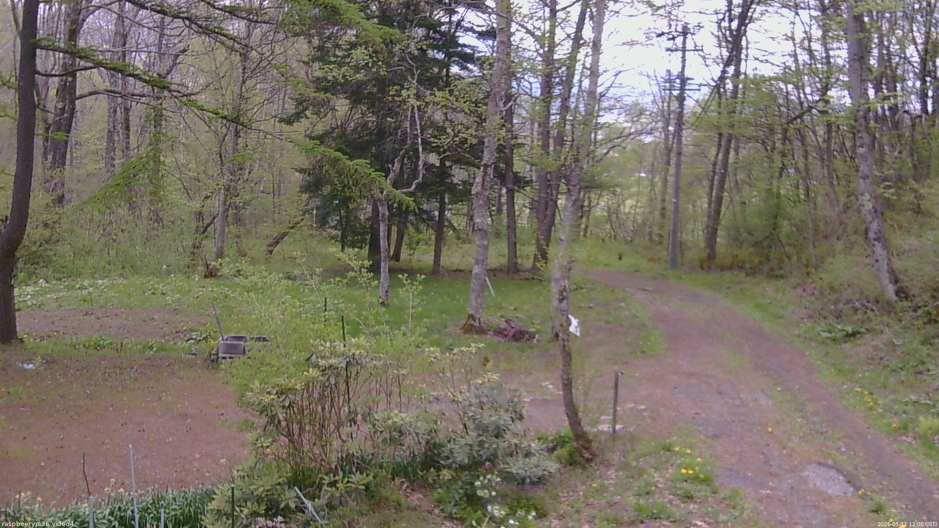 長野県菅平高原 ゆたか山荘 坂上 2026/05/12 12:00
