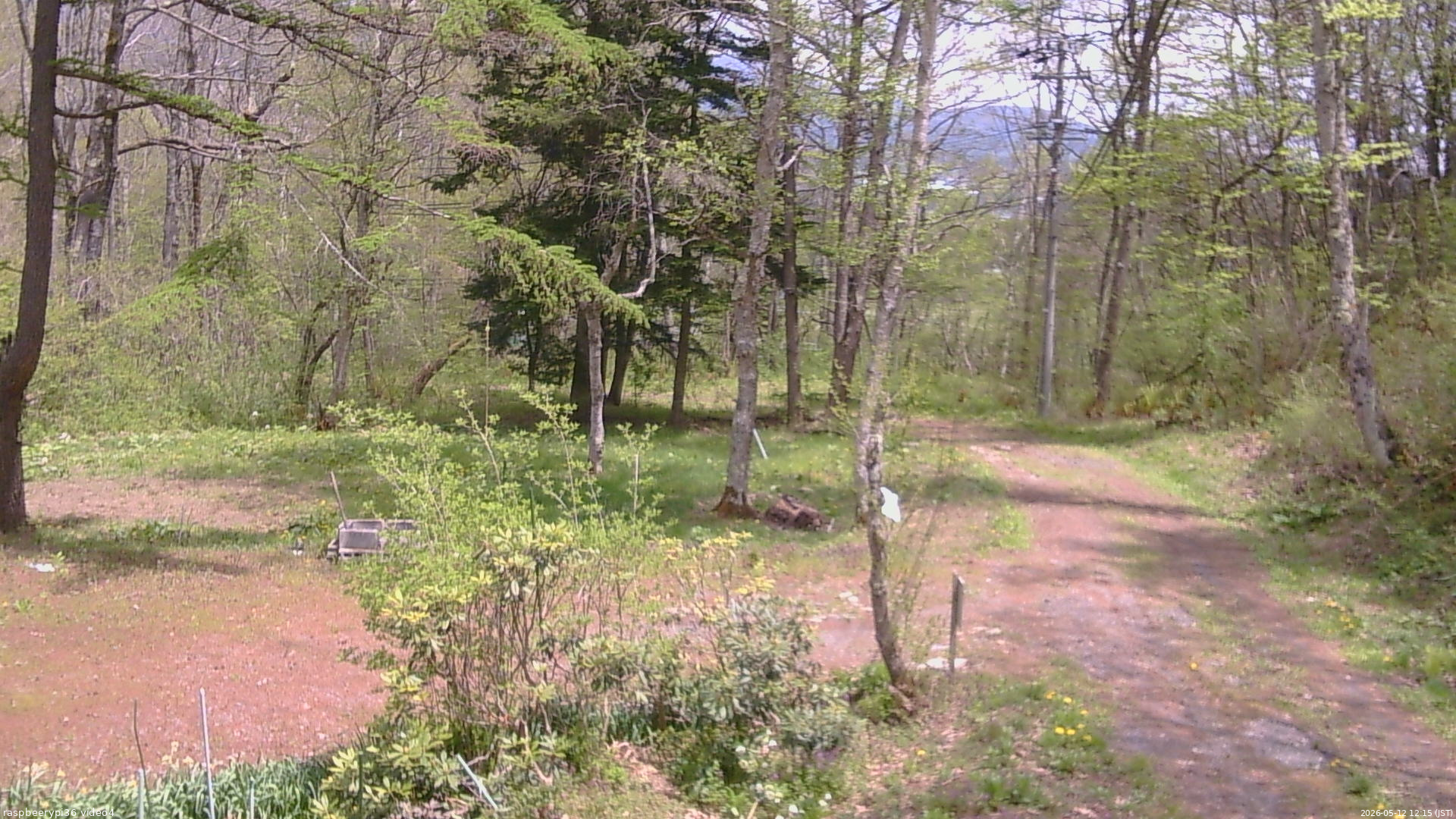 長野県菅平高原 ゆたか山荘 坂上 2026/05/12 12:15