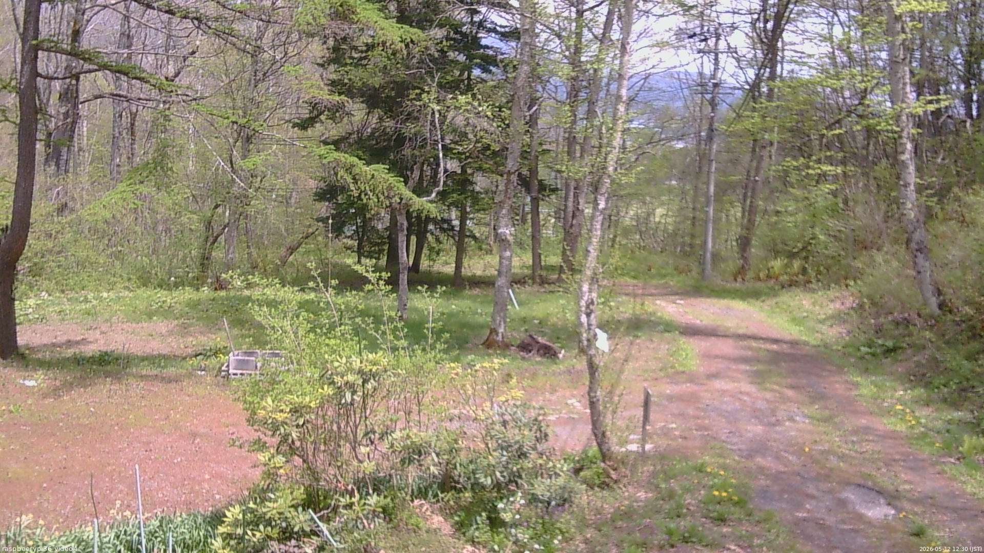 長野県菅平高原 ゆたか山荘 坂上 2026/05/12 12:30