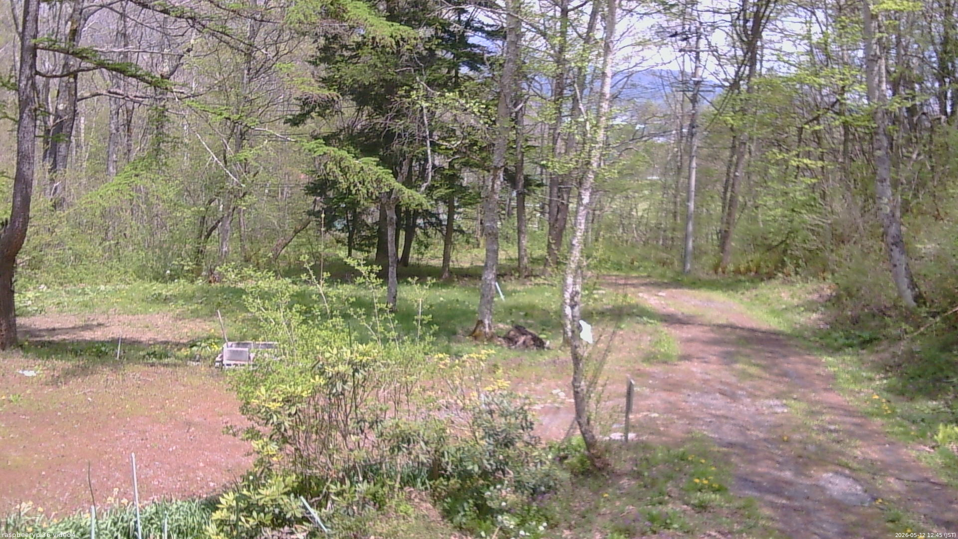 長野県菅平高原 ゆたか山荘 坂上 2026/05/12 12:45