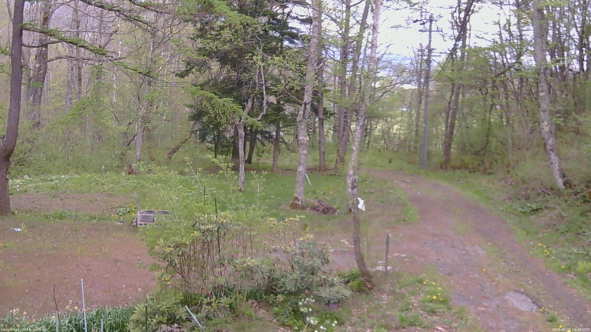 長野県菅平高原 ゆたか山荘 坂上 2026/05/12 14:45