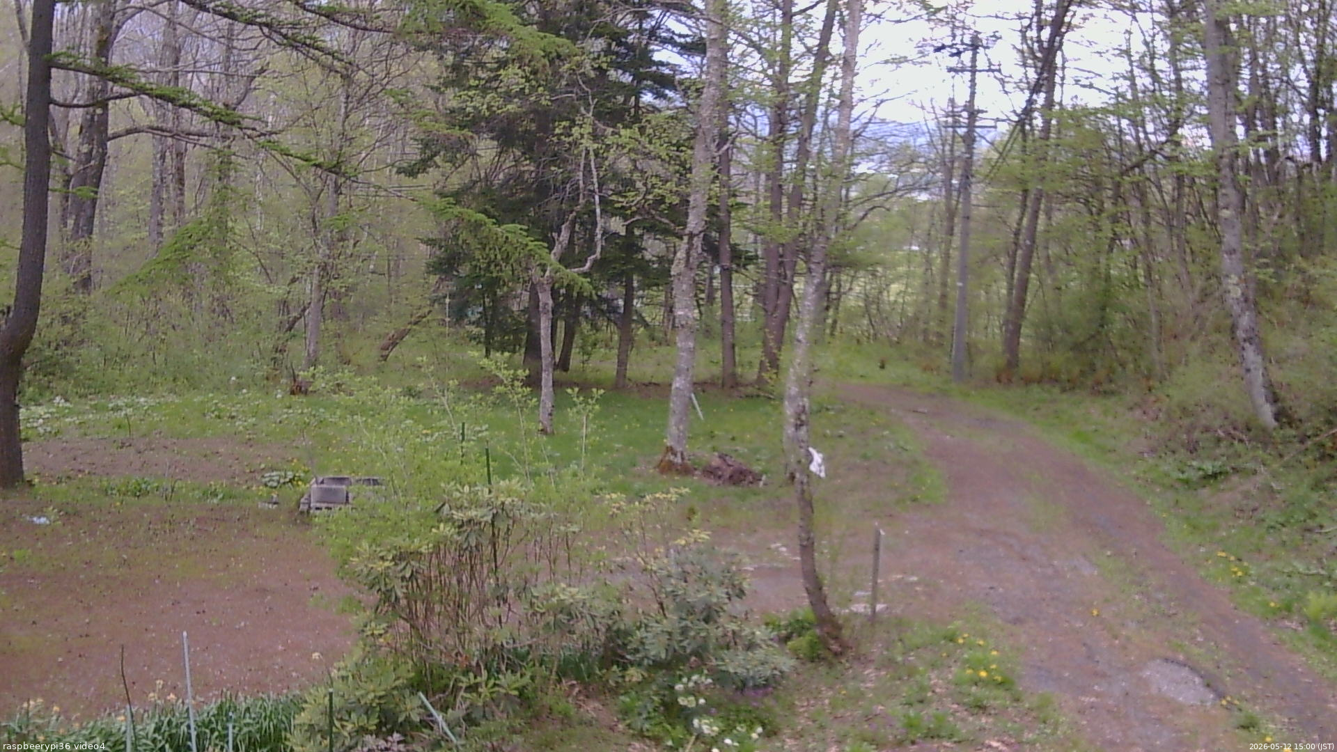 長野県菅平高原 ゆたか山荘 坂上 2026/05/12 15:00