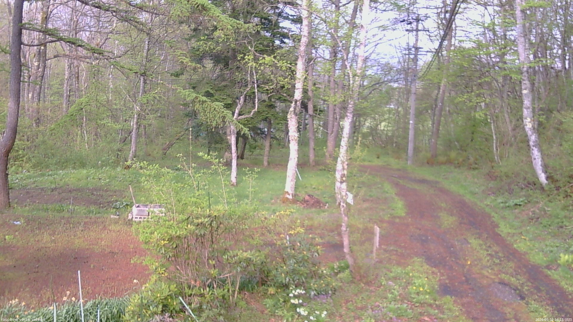 長野県菅平高原 ゆたか山荘 坂上 2026/05/12 16:15