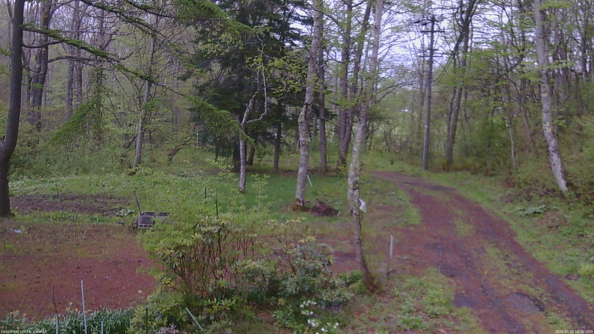 長野県菅平高原 ゆたか山荘 坂上 2026/05/12 16:30