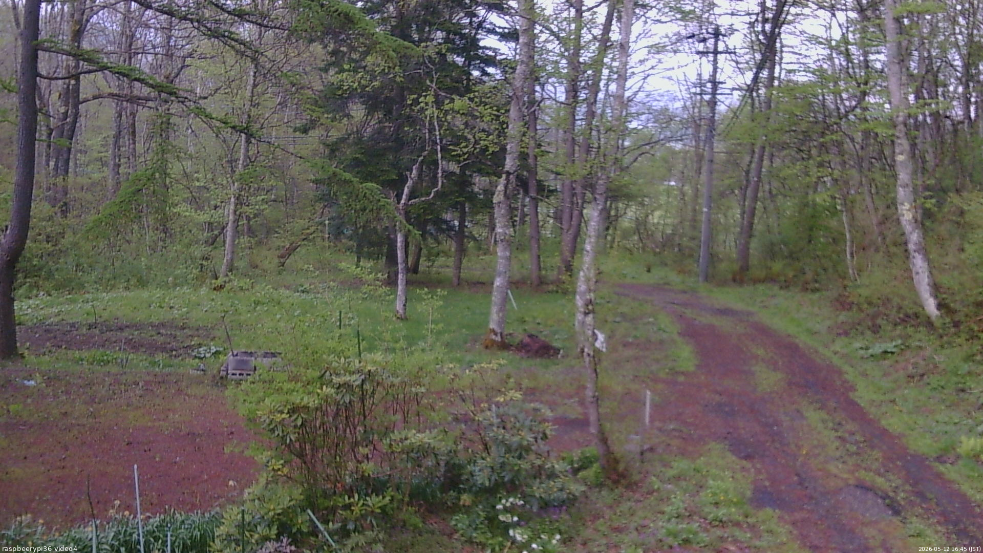 長野県菅平高原 ゆたか山荘 坂上 2026/05/12 16:45