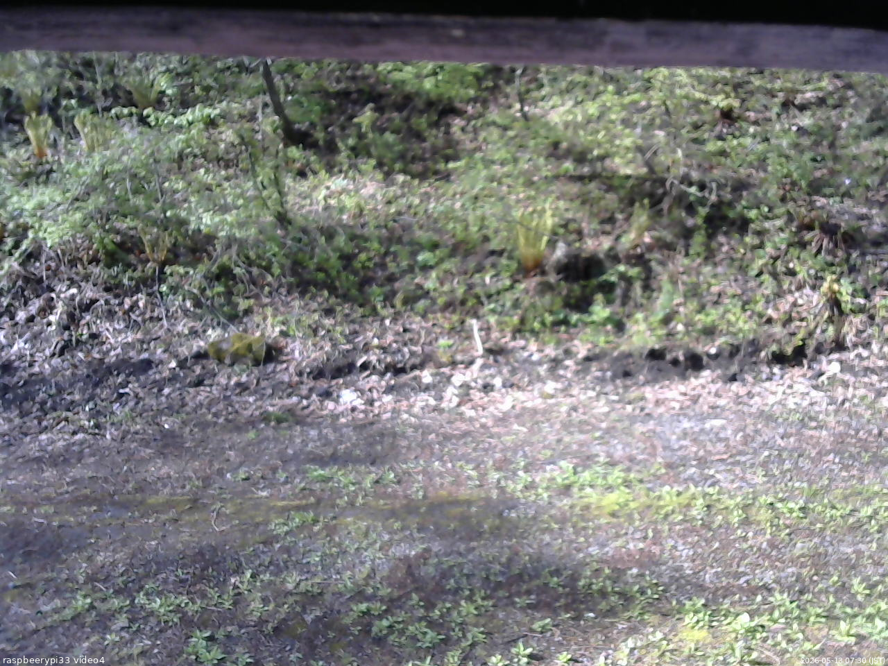 長野県菅平高原 ゆたか山荘 東側(坂下) 2026/05/13 07:30