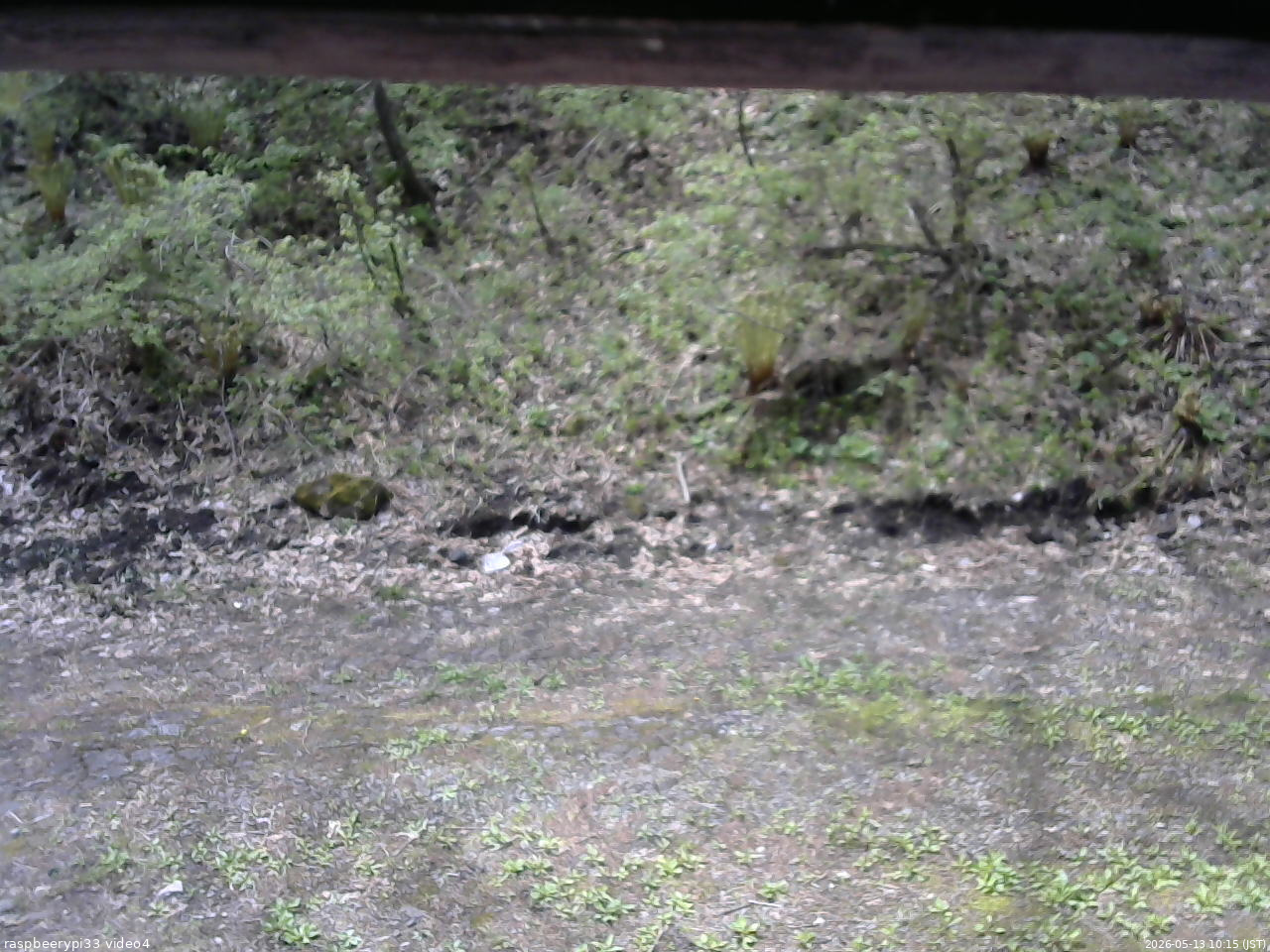 長野県菅平高原 ゆたか山荘 東側(坂下) 2026/05/13 10:15