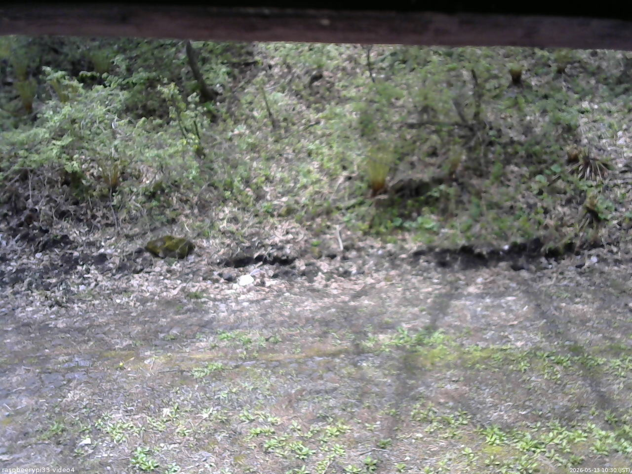 長野県菅平高原 ゆたか山荘 東側(坂下) 2026/05/13 10:30