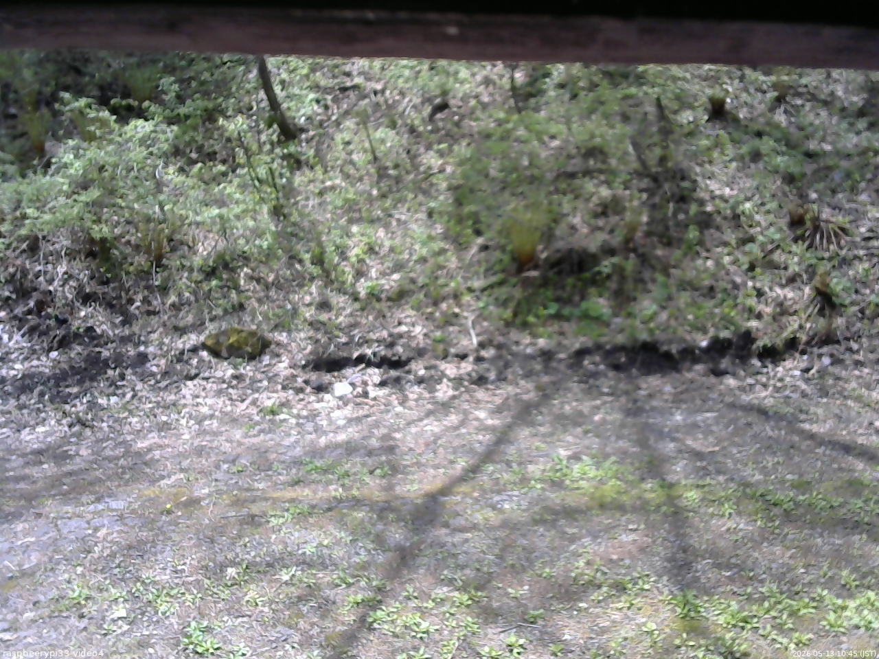長野県菅平高原 ゆたか山荘 東側(坂下) 2026/05/13 10:45