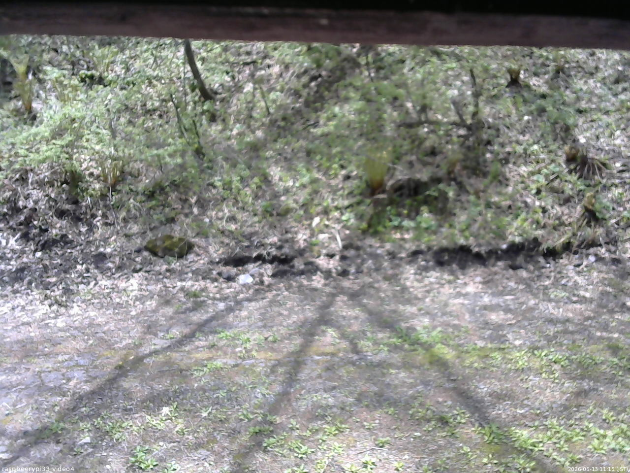 長野県菅平高原 ゆたか山荘 東側(坂下) 2026/05/13 11:15