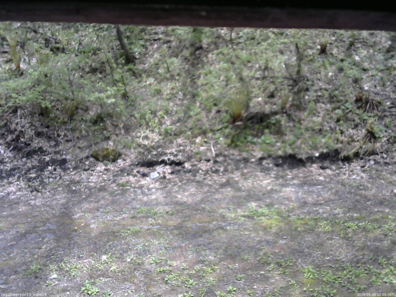長野県菅平高原 ゆたか山荘 東側(坂下) 2026/05/13 12:00
