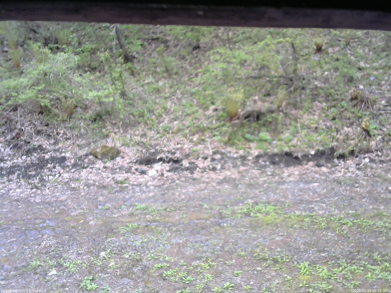 長野県菅平高原 ゆたか山荘 東側(坂下) 2026/05/13 16:15