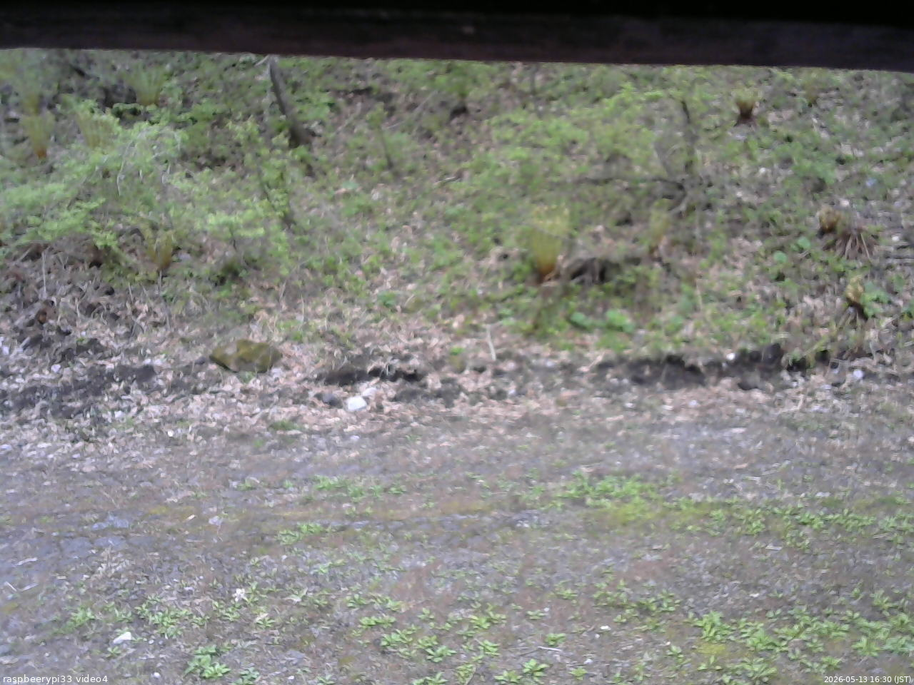 長野県菅平高原 ゆたか山荘 東側(坂下) 2026/05/13 16:30