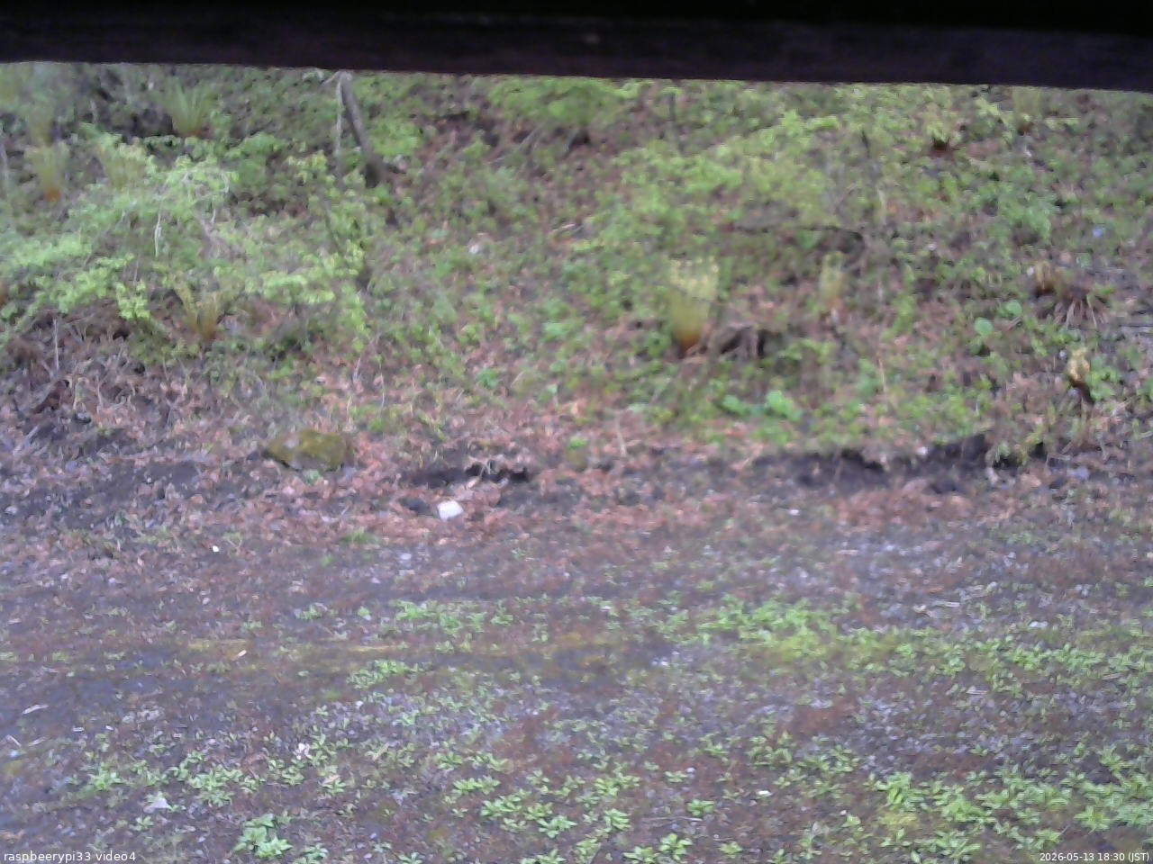 長野県菅平高原 ゆたか山荘 東側(坂下) 2026/05/13 18:30
