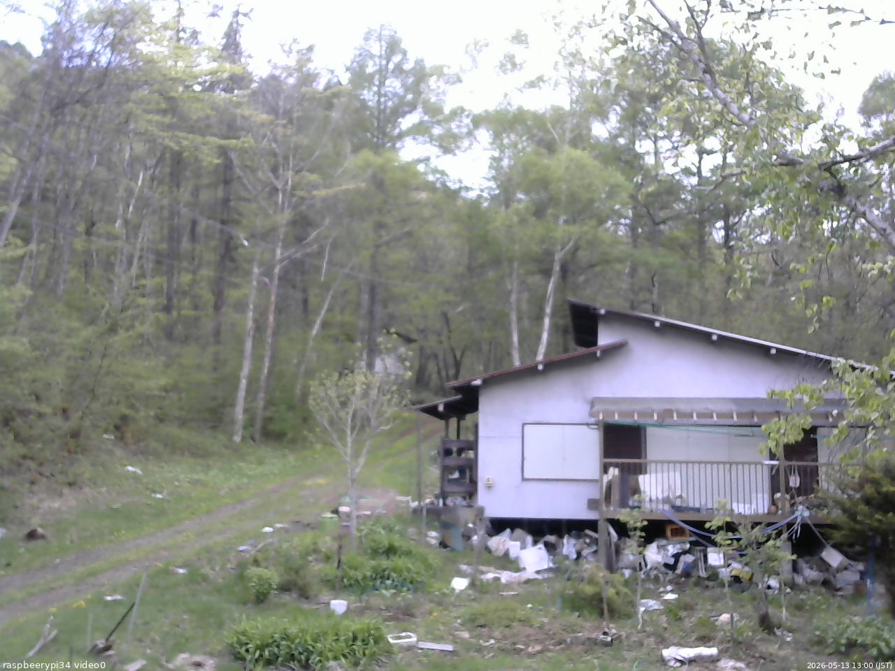 長野県菅平高原 ゆたか山荘 西側(坂上) 2026/05/13 13:00