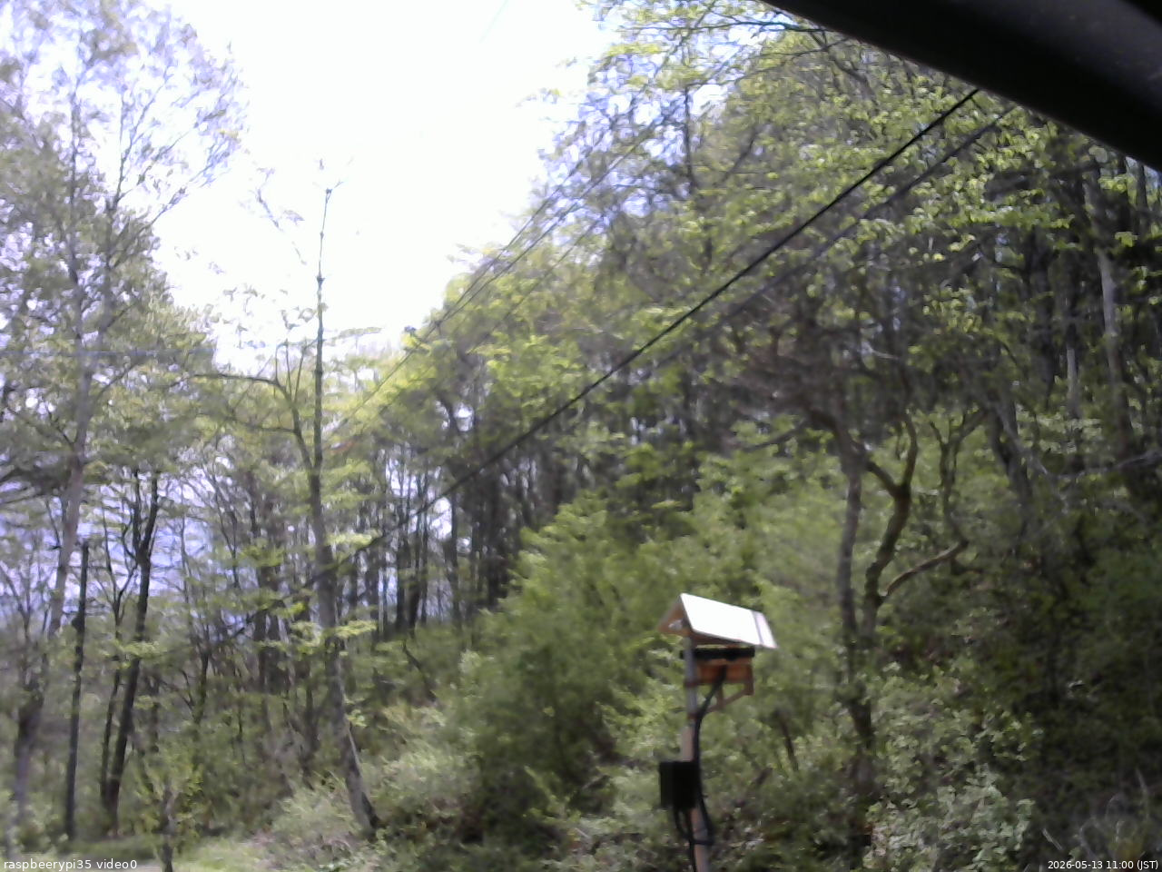 長野県菅平高原 ゆたか山荘 温度計 2026/05/13 11:00