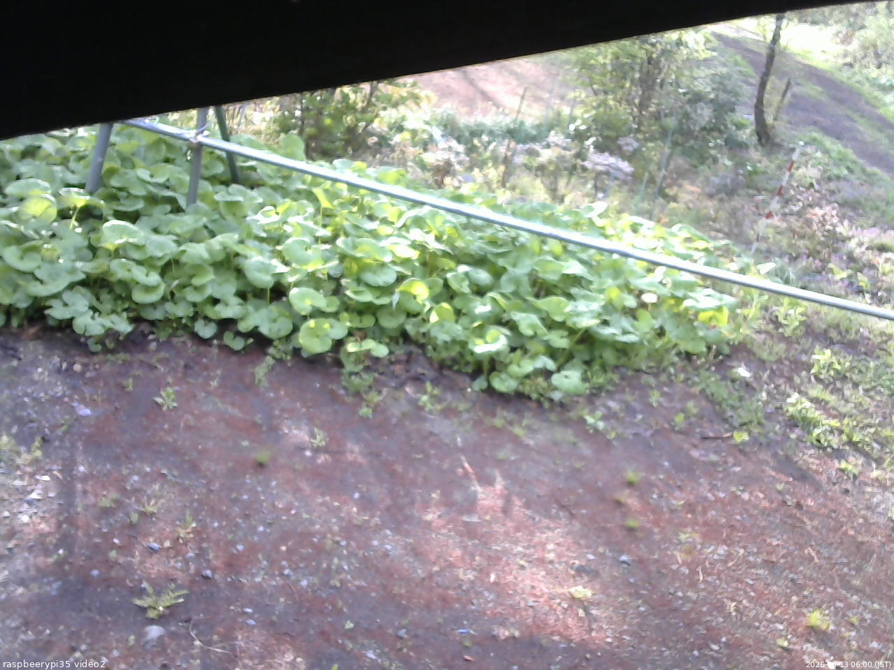 長野県菅平高原 ゆたか山荘 駐車場 2026/05/13 06:00