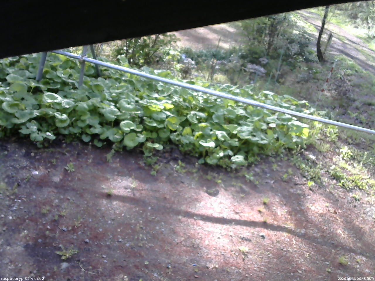長野県菅平高原 ゆたか山荘 駐車場 2026/05/13 06:45