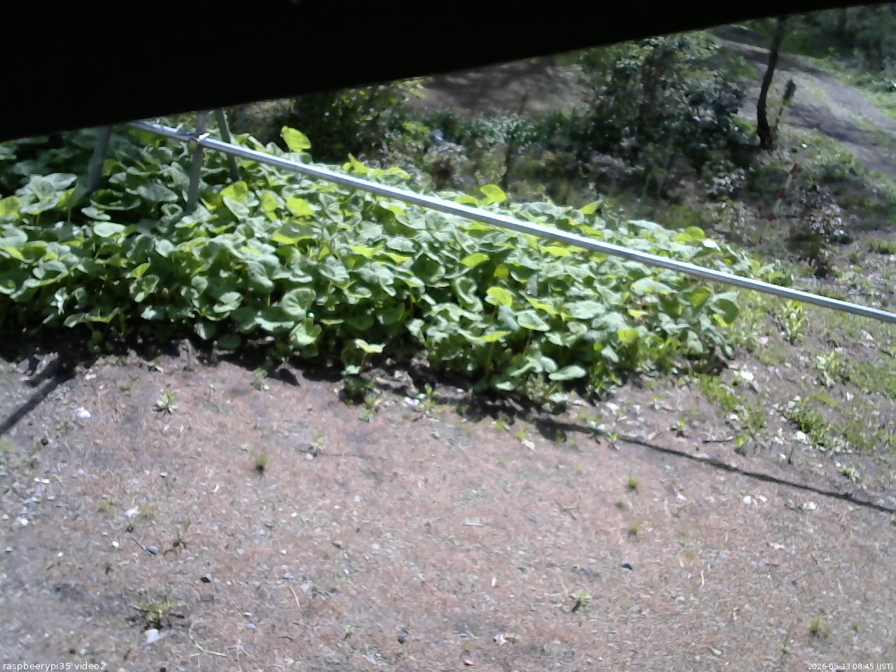 長野県菅平高原 ゆたか山荘 駐車場 2026/05/13 08:45